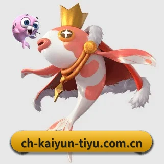 开云官网 APP